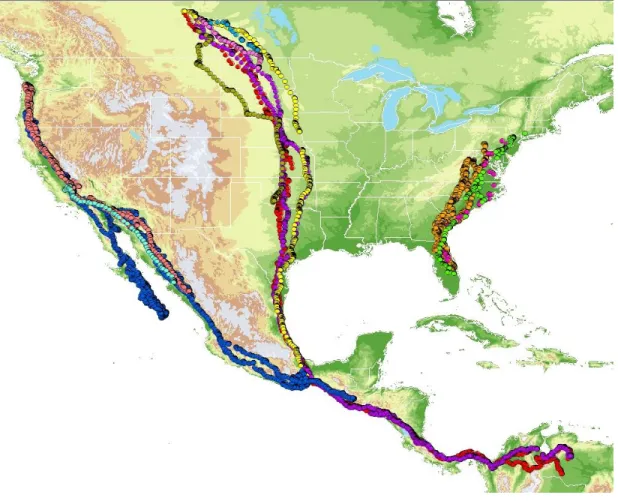 Figure 4.2. Map of complete vulture movements. One movement per day is  plotted. Nearby migrations are plotted in different colors