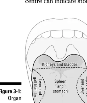Figure 3-1:Organ