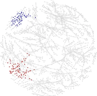 Figure 7: Highlighting specific regions in a complex graph: The vertices 670 and 1,123 are pictured in black as triangles, while the respective neighbourhoods are picture in red and blue.
