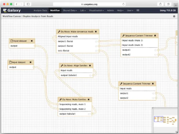 Figure 3.4: Galaxy workflow editor.