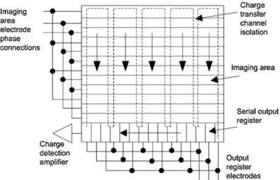 Figure 2.5. Schematic of a full-frame CCD array. 39