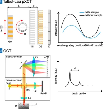 Fig. 1. Sketches of working principles of (a) Talbot–Lau μXCT setup and (b) OCT system; (a) X-ray source S, gratings G0 / G1 / G2, object O , detector D, and grating distances L and d; (b) light source S, beam splitter BS, lenses L1 / L2 / L3, object O , r