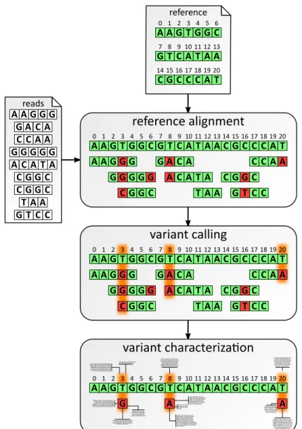 Figure 2.1: Abstract sample workflow for the processing and analysis of experimental data from next generation sequencing