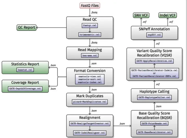 Fig. 1 Workflow A: whole genome/Exome NGS data analysis