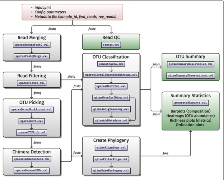Fig. 2 Workflow B: 16S rDNA diversity analysis