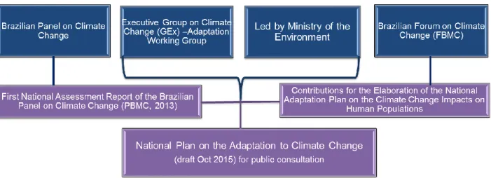 Figure 3: Policy Formulation of the National Adaptation Plan 