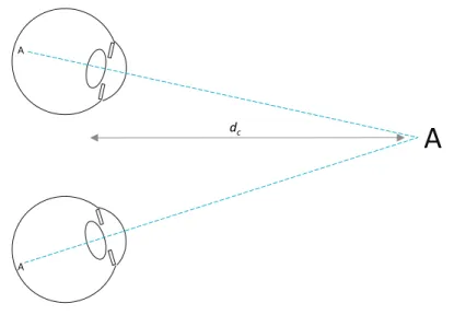 Figure 2.4: Schematic view of the convergence needed to fixate an object at a given distane.