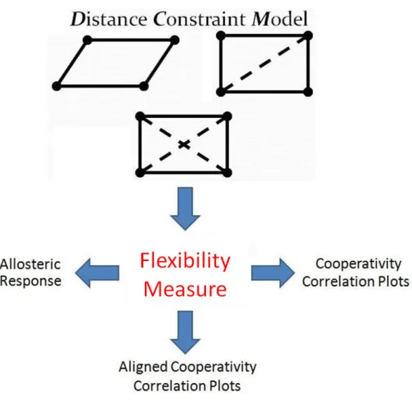 Figure 13: Model outputs can be used to form flexibility measures, psi-phi correlation measures, and aligned correlation measures.