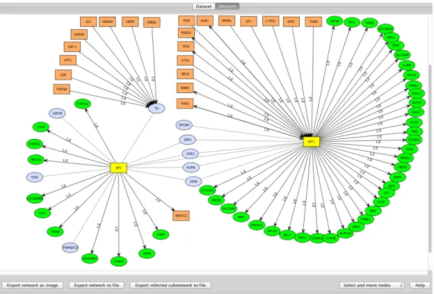 Figure 3.6: GRN query plugin applied to a gene co-expression sub network around the known imprinted genes (IGN)