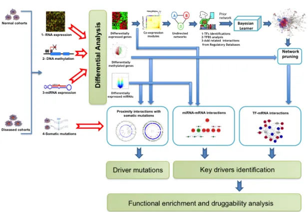 Figure 3.7: Overview integrated systems approach for key driver identification. Source: Hamed et al