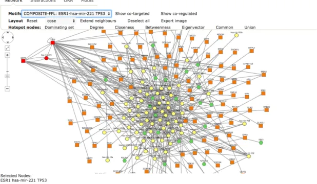 Figure 4.1: Shown are parts of the network view panel of TFmiR. The upper toolbar offers various options to layout the network and