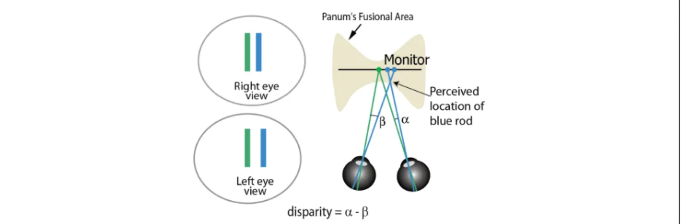 Figure 3.1: Stereoscopic depth is perceived from disparities between features imaged on the retinas in the two eye