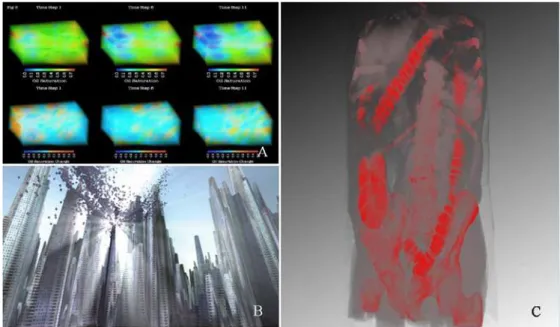 Figure 2.1  Various applications of volumetric information. Image A is for studying oil reservoirs  in underground rocks (courtesy to Paul et al.)