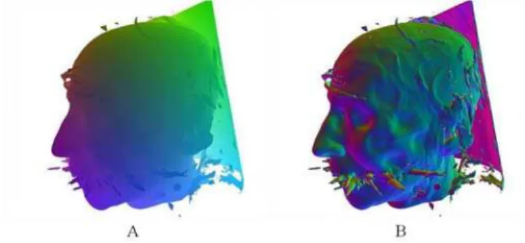 Figure 2.19   Results of first hit approach for the human head data set 