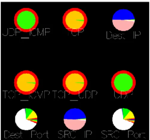 Figure 8. Pie Chart (advanced) screenshot.  The Pie Chart visualization displays a wide  variety of attributes in the data set and displays them in multiple pie charts