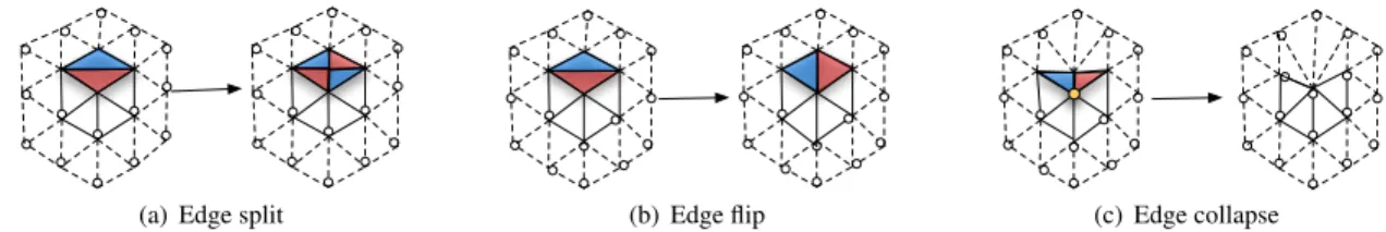Fig. 2. Pseudocode of the surface tracking algorithm.