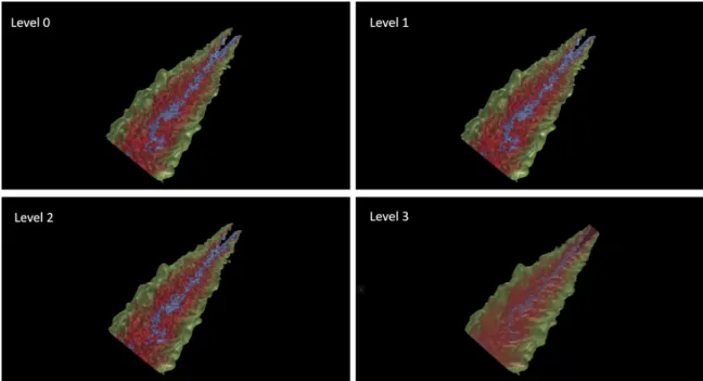 Figure 3.1: A combustion volume dataset with four resolution levels