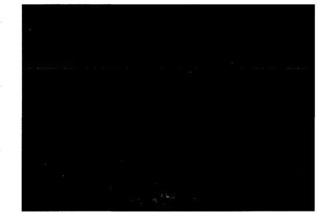Figure 1-1: Output of our volume rendering system with a data set representing a burning  helium flame