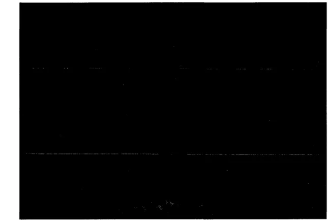 Figure 2-1: Output of our volume rendering system with a data set representing a burning  helium flame
