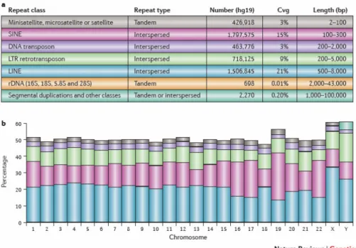 Figure 2.1.: Summary of repetitive DNA sequences in the human genome (hg19)