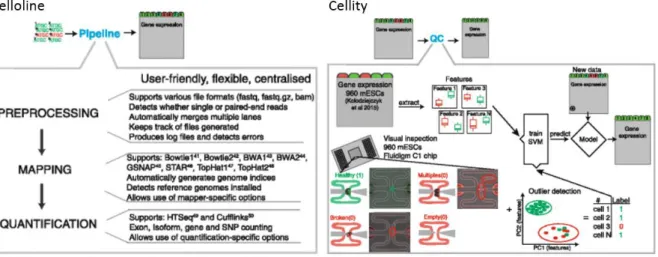 Figure 4: Classification and quality control of cells by celloline and cellity (Ilicic et al
