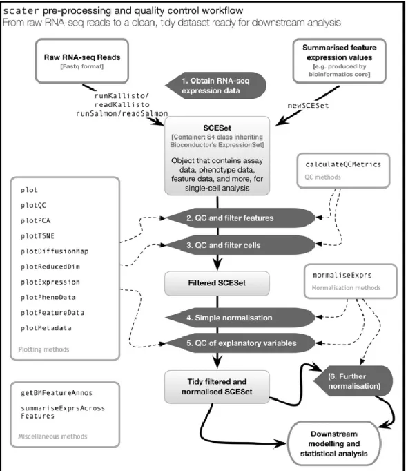 Figure 5: Single-cell pre-processing and quality control with scater (McCarthy et  al