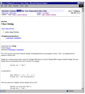Figure 2.3: Javadoc formatted API documentation of the java.lang.String (Java 1.3) class.