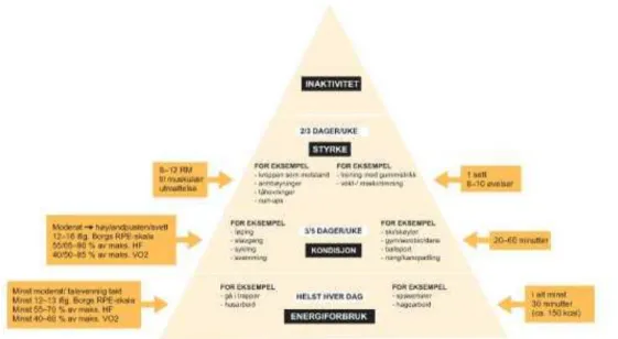Figur 2.1: Aktivitetspyramiden (matportalen.no, 2012) 
