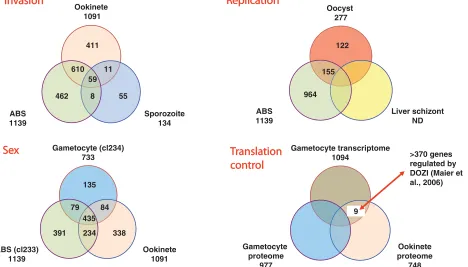 Fig. 1. Venn diagrams to illustrate the distribution of proteins detected in individual life stages that found uniquely inone life stage, or shared between stages within strategy classes (invasion, replication and sex)