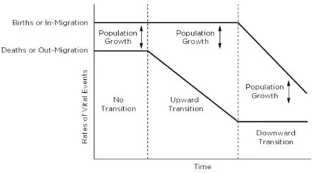 Figure 2: The Demographic Transition (Weinstein &amp; Pillai, 2016, p. 190). 