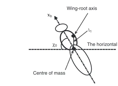 Table 3. Kinematic data of wing and body