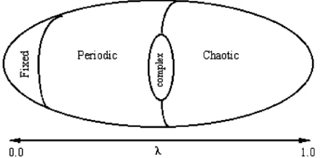 Figure 2 Langton’s classification of cellular automata. The behavior of cellular au- au-tomata depends on the rules that govern their evolution in time