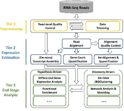 Figure 2: The IRIS Pipeline.  The IRIS pipeline consists of three tiers  designed to analyze and interpret RNA-Seq data
