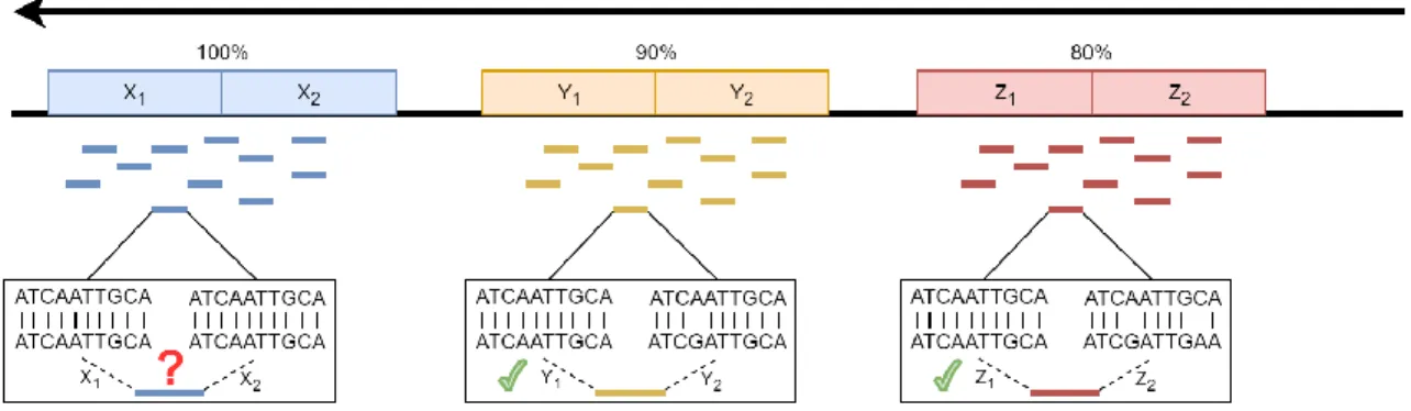 Figure 3: Mapping Uncertainty.  Mapping uncertainty occurs when a single read can be mapped  to two or more locations along the reference genome with equal or nearly equal confidence