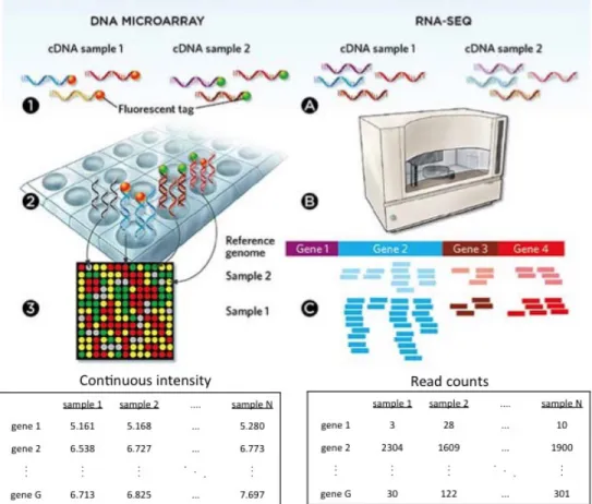 Figure 1: Measuring gene expression: DNA microarray vs. RNA-seq