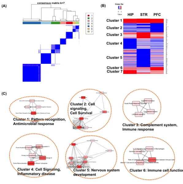 Figure 6: Real rat data clustering results.