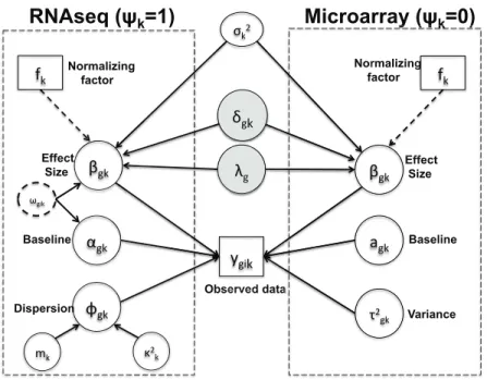 Figure 7: “CBM”: Graphical representation of the Bayesian hierarchical model