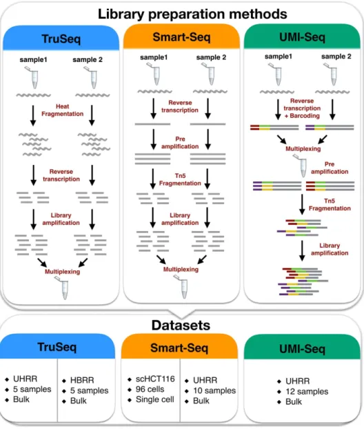 Figure 1.  Schematic of library preparation protocols and datasets. The upper panel details the steps for the  three sequencing library preparation methods analysed in this study