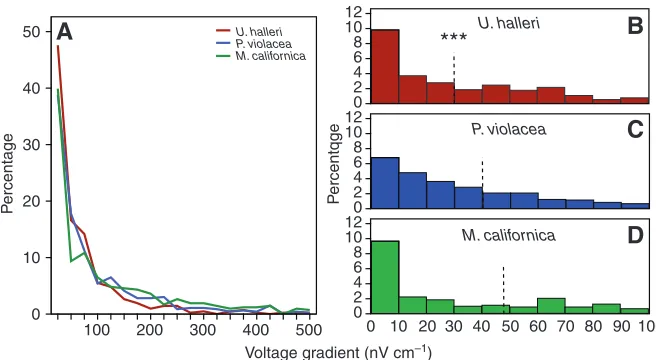 Table 1. Comparisons of the electric field strength (log E) where stingrays orient toward and bite at weak electrodes 
