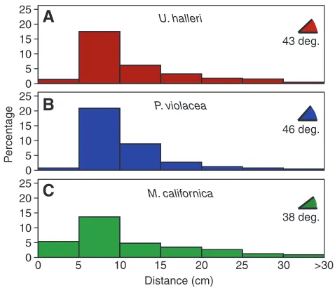 Table 2. Minimum electrosensory response threshold comparison between elasmobranchs tested under similar conditions 