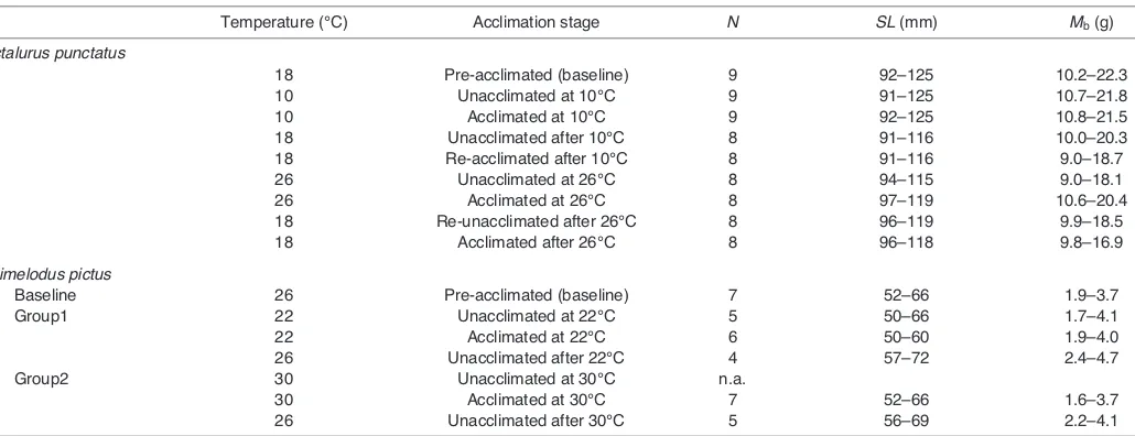 Table 1. Sequence of different temperature regimens in the holding tanks and in the experimental tank where auditory thresholds weredetermined