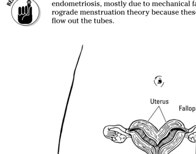 Figure 4-2:Pelvic