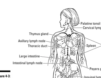 Figure 4-3:The