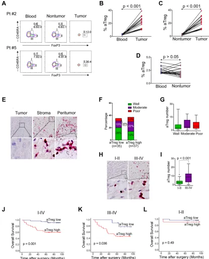 Figure 1: Phenotype and clinical implications of tumor-infiltrating Treg cells. (A–D) Predominant infiltration of aTreg cells into HNSCC tissues