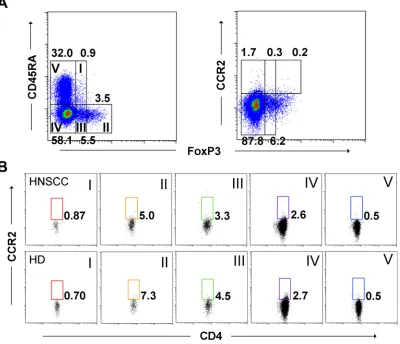 Figure 5: MCP-1/CCR4 signaling promotes aTreg cell migration. (A), (B) CCR2-positive T cells were scarcely present in fractions of FoxP3+CD4+ and FoxP3-CD4+ T cells
