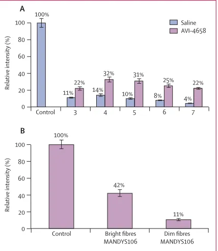 Figure 4: Intensity of dystrophin expression in patients treated with high-dose AVI-4658 relative to control(A) Mean random intensity measurements