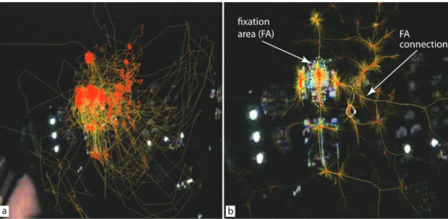 Fig. 13. Visual analysis of pilot eye-tracking data, with static bundling. Raw trails (a)
