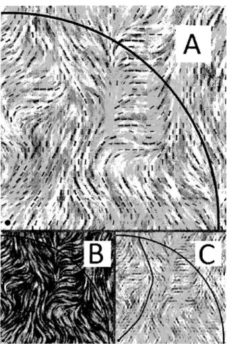 Figure 3-4: Line Integral Convolution