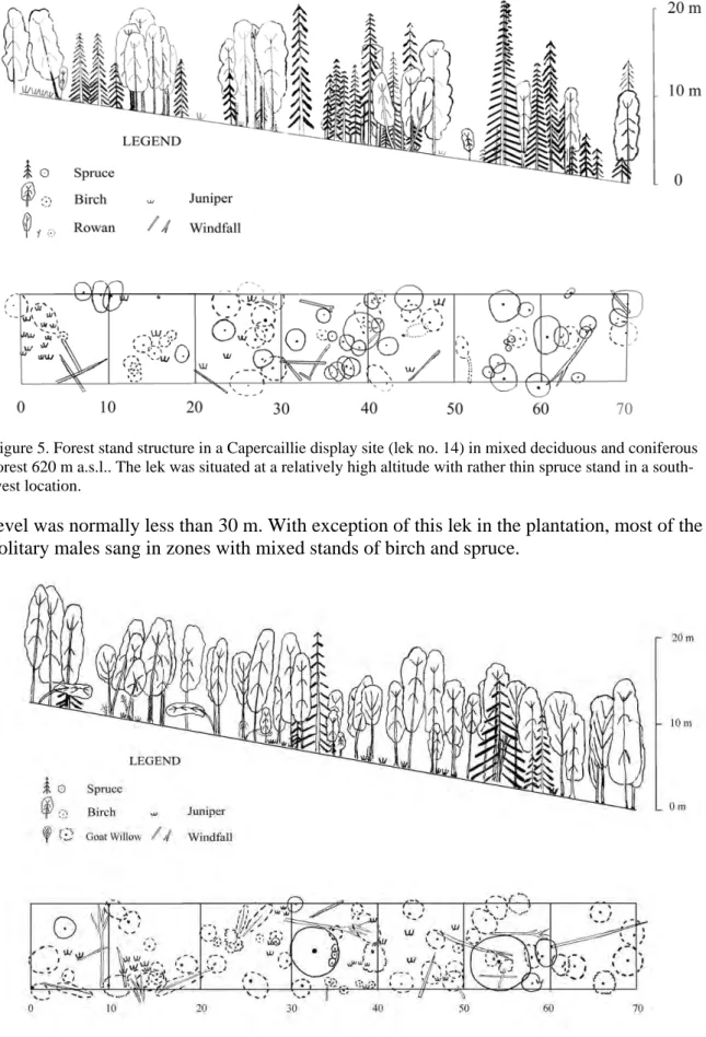 Figure 6. Forest stand structure in Capercaillie display site (lek no. 2) situated in a mixed deciduous and  coniferous forest at 590 m a.s.l.