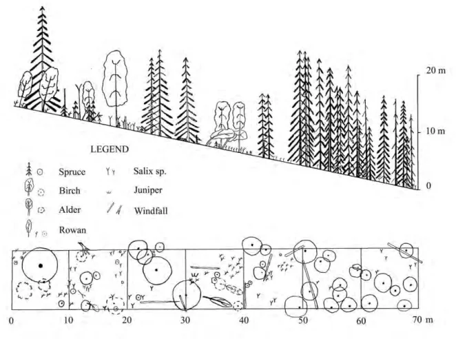 Figure 7. Forest stand structure at a Capercaillie display site situated in mixed deciduous and coniferous  forest at 570 m a.s.l
